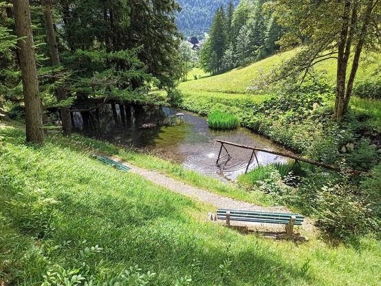Natur