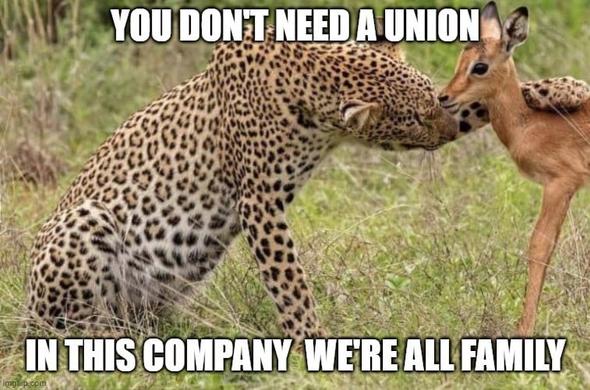Prounion meme. A cheetah with it's claw around a gazelle's neck and pulling it close. "You don't need a union. In this company we're all family."
