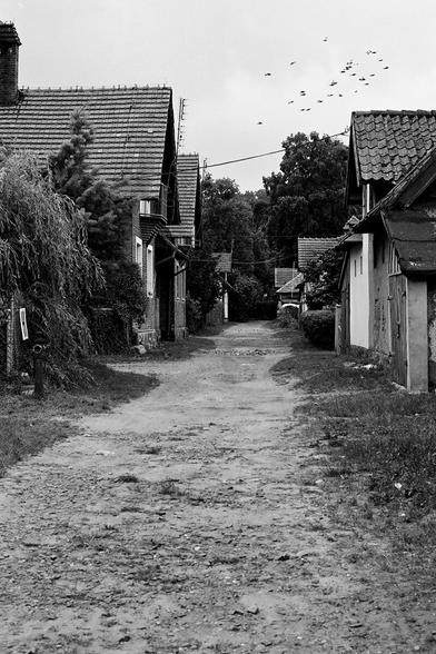 czarno-białe zdjęcie wiejskiej drogi, stare budynki po bokach / black-and-white photography of village road, old buildings on sides