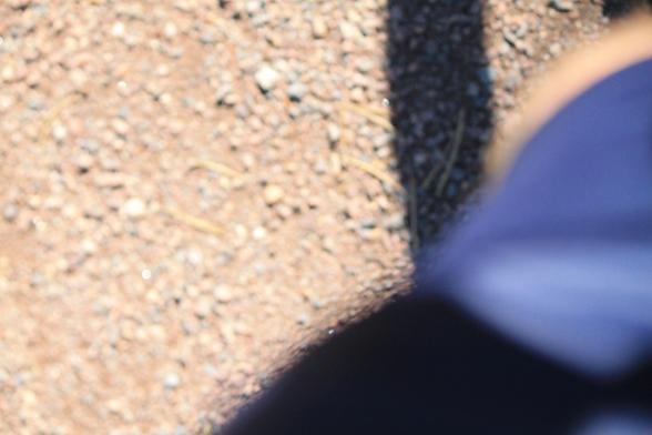 Vasemmalla epäterävää, auringonvalossa hieman ylivalottunutta hiekkatiepohjaa. Oikeassa alakulmassa epäterävänä vasen reiteni sinisessä sortsinlahkeessa, pikkuisen polvi pilkottaa yläoikealla. Tiellä pitkänomainen varjo pyörän rungosta.