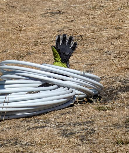 A well-worn glove sticks out of a pile of white hoops or looped piping, on parched yellow grass.