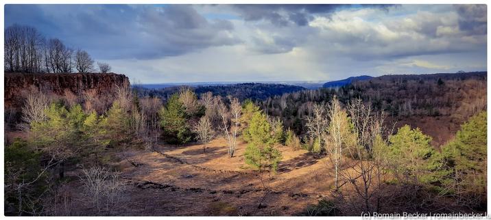 View over a landscape with trees in the front and way behind the horizon with a cloudy sky.