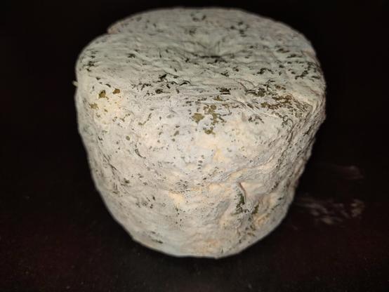 a wheel of homemade blue cheese, made with goat milk