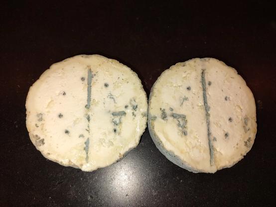a wheel of homemade blue cheese, made with goat milk, Sliced open to reveal the veining