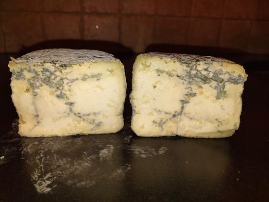 a wheel of homemade blue cheese, made with goat milk, Sliced open to reveal the veining