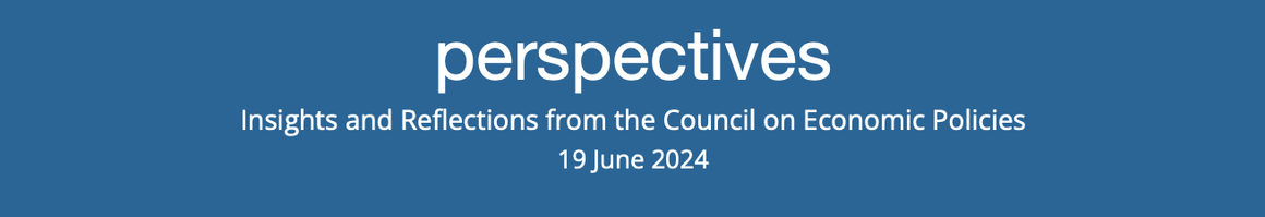 perspectives: Insights and Reflections from the Council on Economic Policies, 19 June 2024