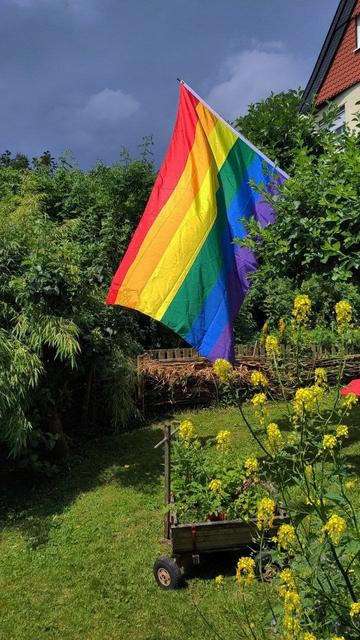 Regenbogenflagge in einem Garten . dunkler Himmel im Hintergrund