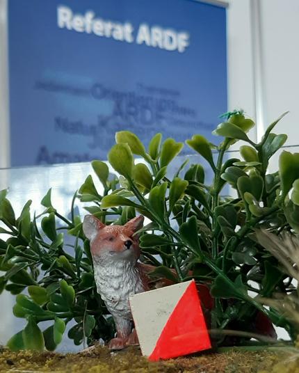 Am Messestand schaut ein Fuchs frech hinter dem Sender heraus ... am Peilsimulator von DF7XU.