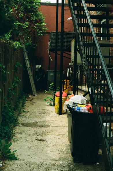 An alley with a fire escape that leads to a dead end. There are vines on a fence and trash and recylcing to the side.