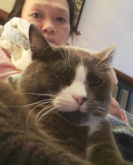 My gray tuxedo cat, laying on my chest & provided me healing, purring therapy.