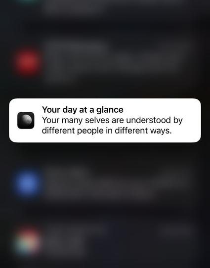 your many selves are understood by different people in different ways