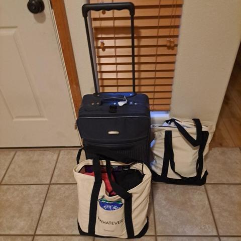 A black wheeled suitcase and two overstuffed tote bags stand next to a front door, ready for action!