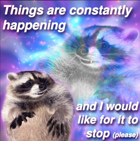 *pics of startled/traumatized raccoon*

Caption:”things are constantly happening and I would like it to stop (pls)”
Credits: nocturnaltrashposts