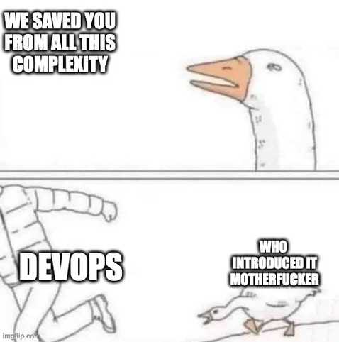 goose meme.
"we saved you from all this complexity"
The goose, chasing DevOps honking "who introduced it motherfucker"