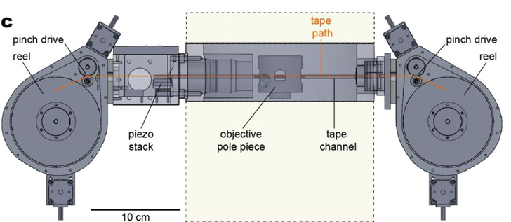Schematic of the GridTape reel-to-reel stage at the level of the TEM objective pole-piece. Portions of the TEM column above and below in beige with dashed outlines. Scale bar 10 cm.
