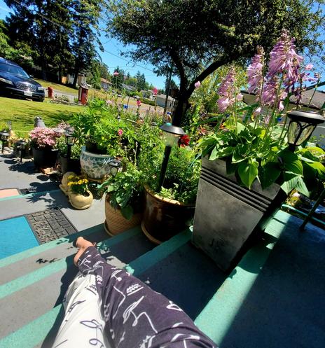 Looking out at part of our front yard & gardens from front porch steps. You see my black and white duotone printed pants & barefeet, splayed over front steps.