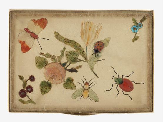 View 2: top of box with 4 flower sprigs and 5 insects