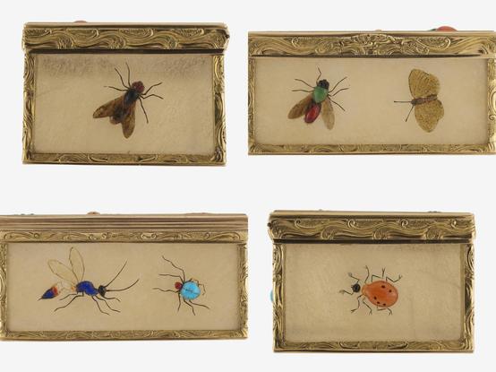 view 3: composite image of the four sides, long sides with 2 insects each and short sides with 1 insect each