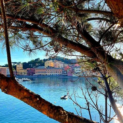 Baia del Silenzio a Sestri Levante, Tiglio, Liguria, Italia