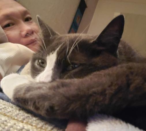 In bed selfie with my gray tuxedo cat nurse.