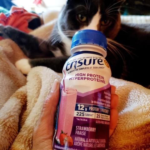 Bottle of strawberry Ensure nutritional supplement drink. Holding the bottle in my left hand, in bed. My gray tuxedo cat is looking at it, in the background.