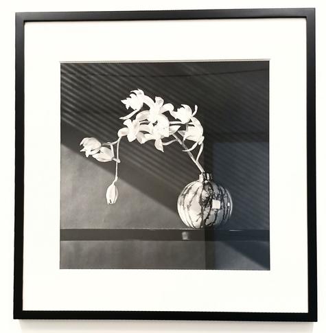 Sw Foto 
Rechts eine kugelförmige Vase mit einer nach links sich ausbreitenden Orchidee