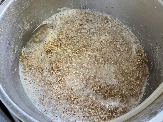 Beer mash in  a stainless steel brewing vessel with wort recirculating from a silicone hose