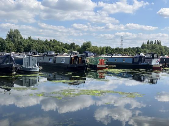 Several narrowboats moored on a calm marina with reflections of the boats and sky on the water. Trees and a power pylon are visible in the background under a partly cloudy sky.