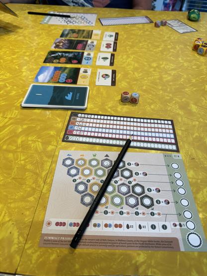 Set up version of Cascadia: Rolling Hills, with individual score sheet, cards, and dice