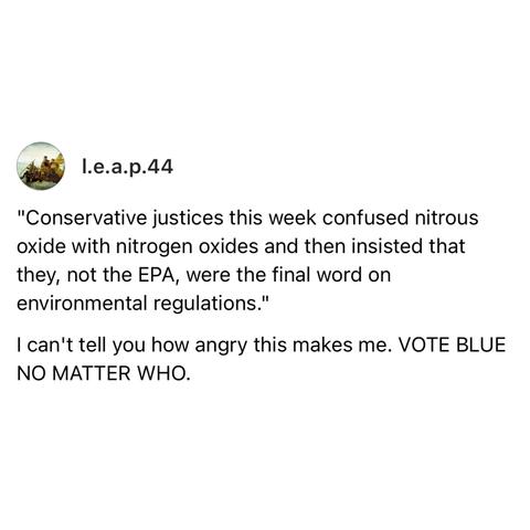 Screenshot of a Threads post by l.e.a.p.44: 

"Conservative justices this week confused nitrous oxide with nitrogen oxides and then insisted that they, not the EPA, were the final word on environmental regulations." 

I can't tell you how angry this makes me. VOTE BLUE NO MATTER WHO.