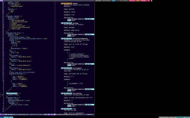 Screenshot of a text editor displaying configuration files written in the Nix language, with settings for various programs such as ripgrep, alacritty, and kitty.