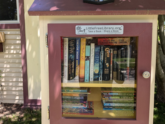 Photo of our Little Library stocked with books such as Carter Beats the Devil, The Shipping News, All the Light We Cannot See, Motherless Brooklyn, The Time Traveler's Wife, Born a Crime (Trevor Noah biography)...