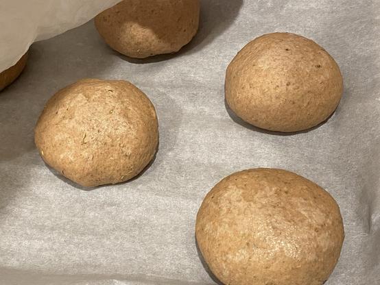 whole wheat bagel dough balls with rosemary in, sitting to proof the second time