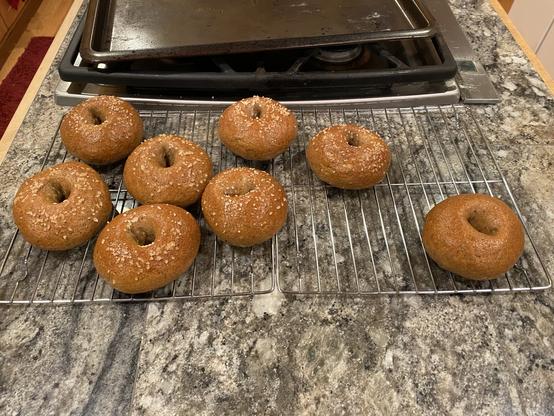 eight very brown bagels on a cooling rack, seven with very distinct rock salt sprinkles