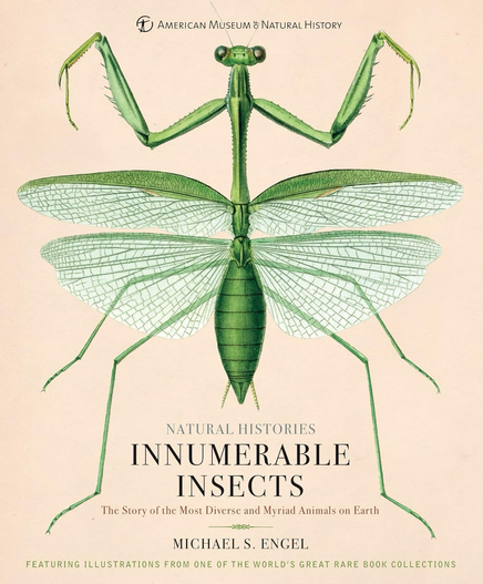 photo of the book cover