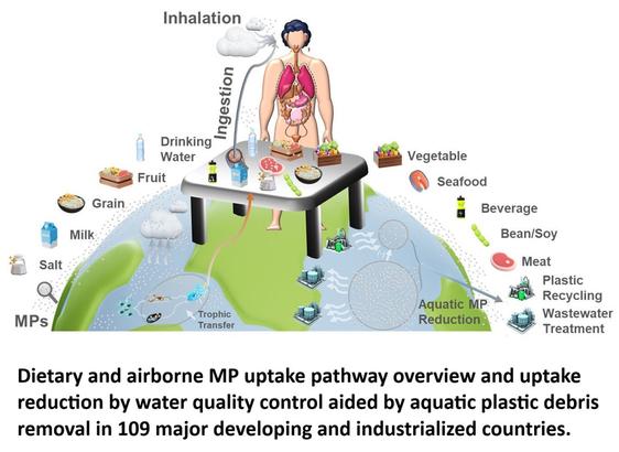 schematic - Dietary and airborne MP uptake pathway overview and uptake reduction by water quality control aided by aquatic plastic debris removal in 109 major developing and industrialized countries.