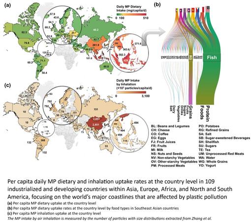 maps and flow chart - Per capita daily MP dietary and inhalation uptake rates at the country level in 109 industrialized and developing countries within Asia, Europe, Africa, and North and South America, focusing on the world’s major coastlines that are affected by plastic pollution