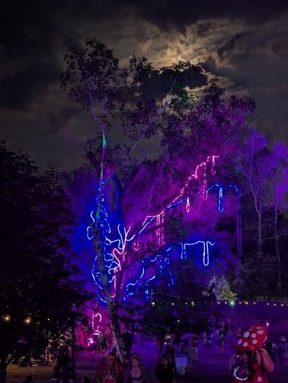 A large tree at night lit up with purple and blue string lights. In the background are more and various trees, in the foreground are festivalgoers.  Above the scene are some clouds illuminated from behind by the full moon.