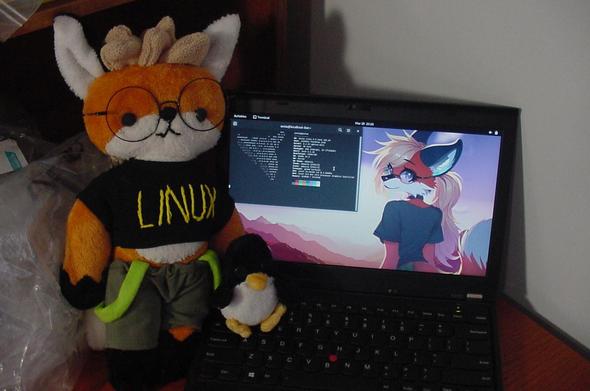 Xenia the Linux Fox plush holding her own Tux Linux plushie, standing next to an X230 Thinkpad laptop, which is running Xenia Linux, a Linux distribution. The background of the desktop environment on the laptop has a wallpaper of Xenia the Linux Fox, as drawn by Chimmie Firefly (@Gameplayer). A terminal is open with Neofetch showing the Xenia Linux fox icon, and information about the laptop.