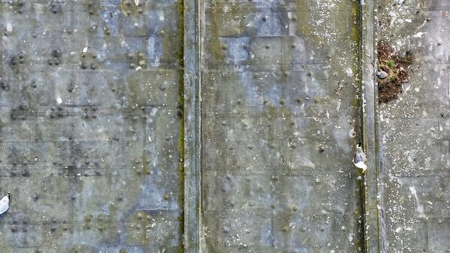 Aerial image of roof with seagulls and nest