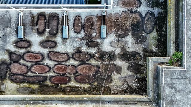 Aerial image of roof showing water damage and plant growth