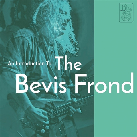 An Introduction to the Bevis Frond album cover