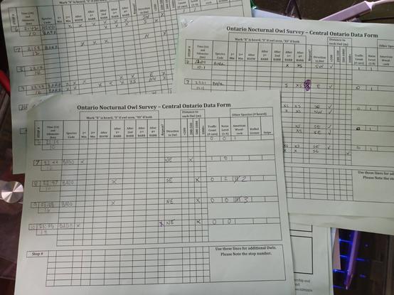 Three Central Ontario data form with, in total, 17 different owls reported