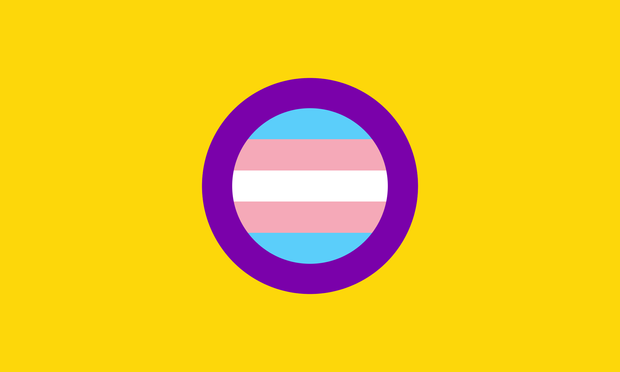 An intersex flag, but with a trans flag inside the ring in the centre.