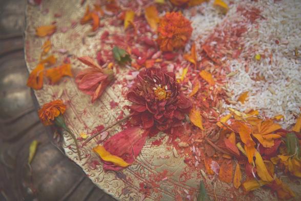 Marigold & Rice
