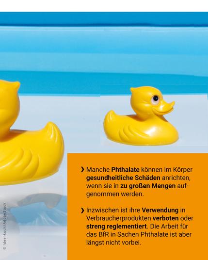Manche Phthalate können im Körper gesundheitliche Schäden anrichten, wenn sie in zu großen Mengen aufgenommen werden. Inzwischen ist ihre Verwendung in Verbraucherprodukten verboten oder streng reglementiert. Die Arbeit für das BfR in Sachen Phthalate ist aber längst nicht vorbei.