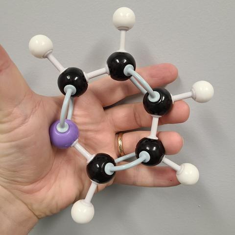 Organic chemistry molecular model kit being held by a white person's hand against a light colored wall. The model has a ring of five black balls and a single purple ball with angled connections between them in a ring pattern connected with alternating single and double pair connection points. The black balls all have a single white ball connected to them.