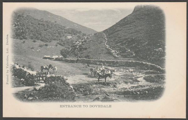 Printed monochrome postcard showing a vignette view of the entrance to Dovedale near Ashbourne in Derbyshire's Peak District.
Published by Valentine Ltd, Dundee, not numbered, undivided back, c.1902.
Postally unused.
Excellent condition, with minimal corner bumps and light album marks.