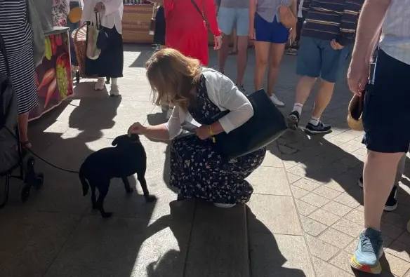 La photo montre une blonde aux cheveux longs, robe à fleurs, sac à main. Elle se baisse pour caresser un petit chien noir qui se détourne.

"Samedi 22 juin, une belle journée de Campagne!"

Anne-Laurence Petel "à la rencontre des électeurs"