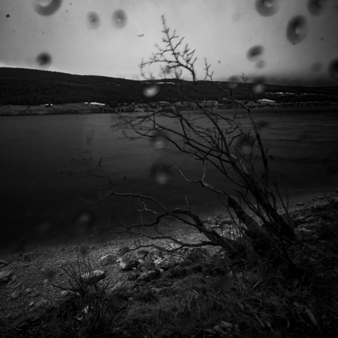 Photo noire-blanc, infrarouge prise sous la pluie à la vallée de joux.